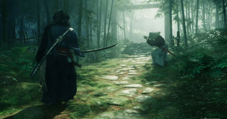 dificultad de rise of the ronin