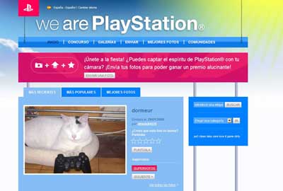 we-are-playstation